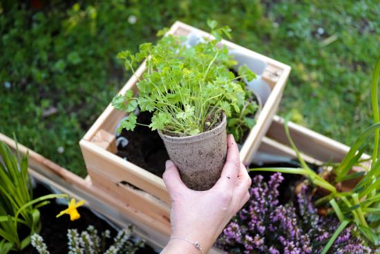 diy-tuto-sader-Comment-créer-des-jardinières-upcycling-bois-exterieur-pu-4