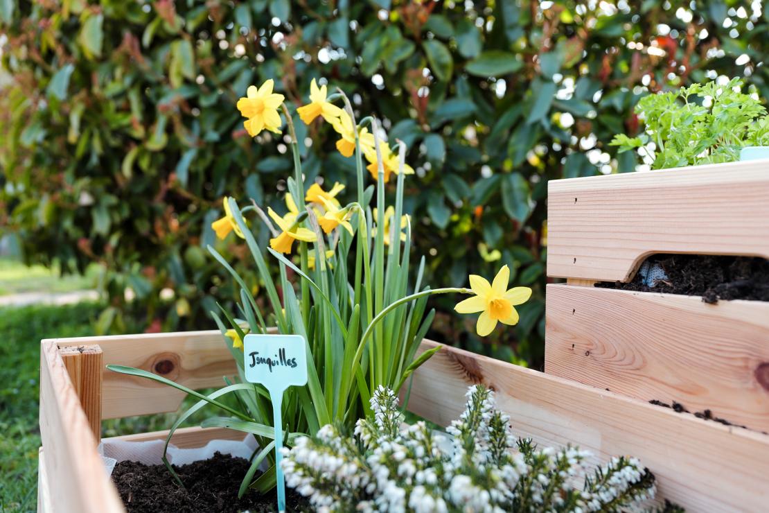diy-tuto-sader-Comment-créer-des-jardinières-upcycling-bois-exterieur-pu-5